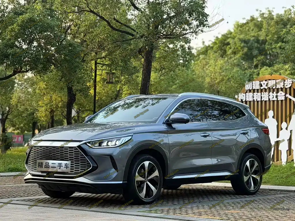 BYD PLUS New Energy 2022