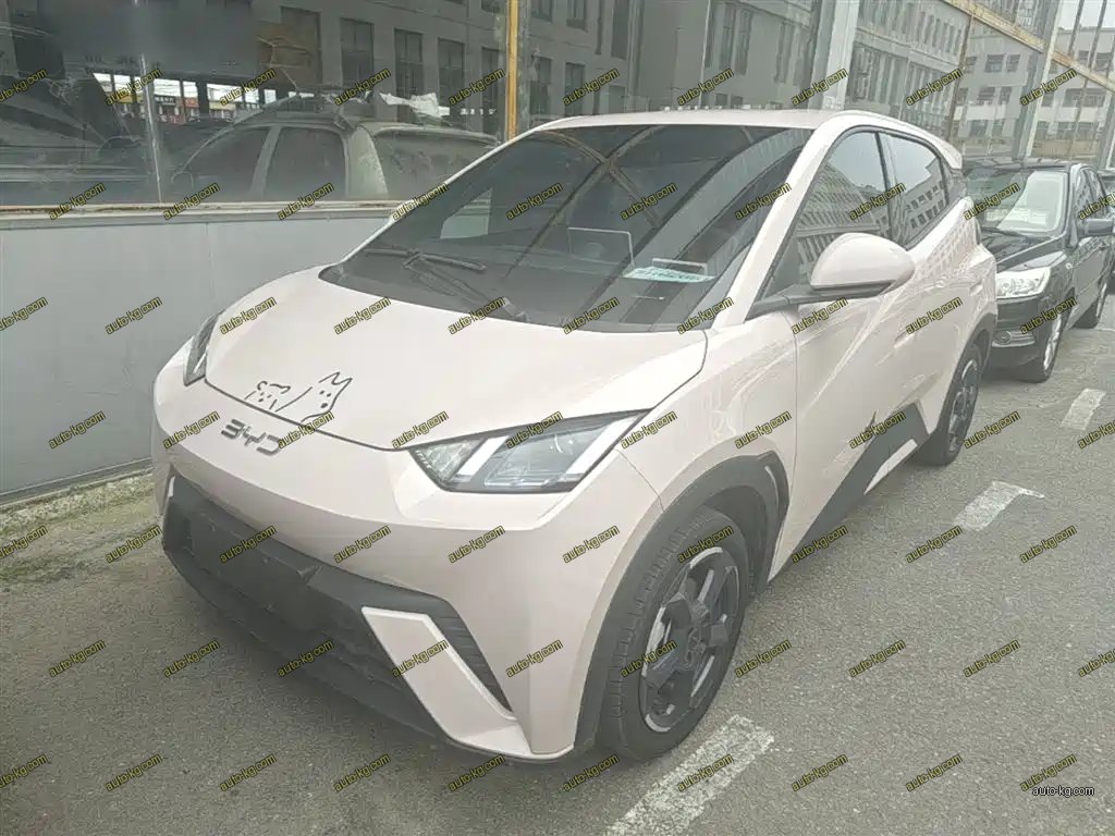 BYD Seagull 2024