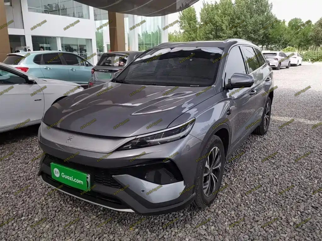 BYD Pro New Energy 2025