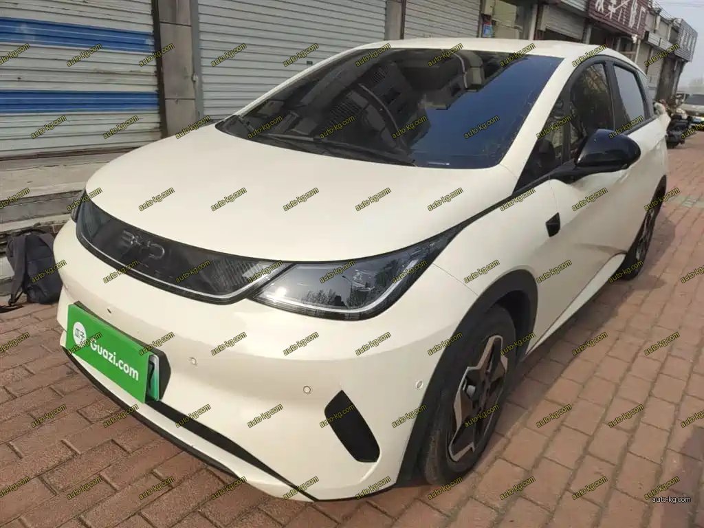 BYD Dolphin 2025