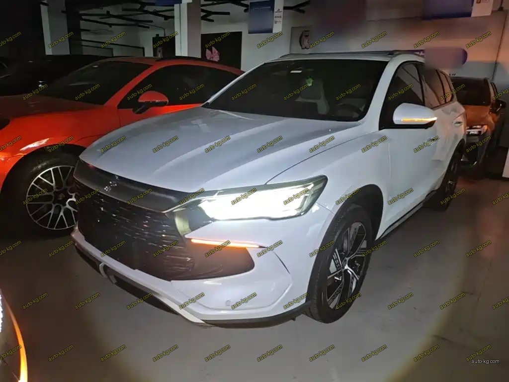 BYD Pro New Energy 2024