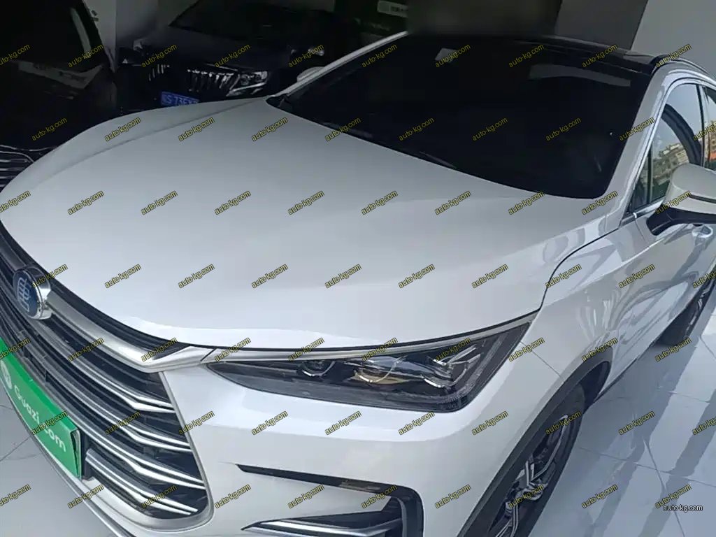 BYD Tang New Energy 2021