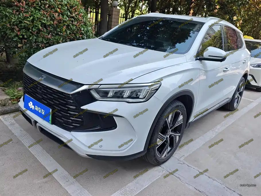 BYD Pro New Energy 2024