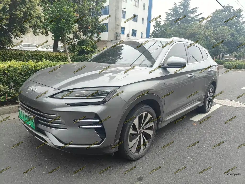 BYD PLUS New Energy 2024