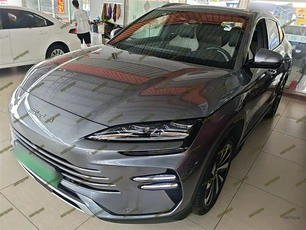 BYD PLUS New Energy 2023