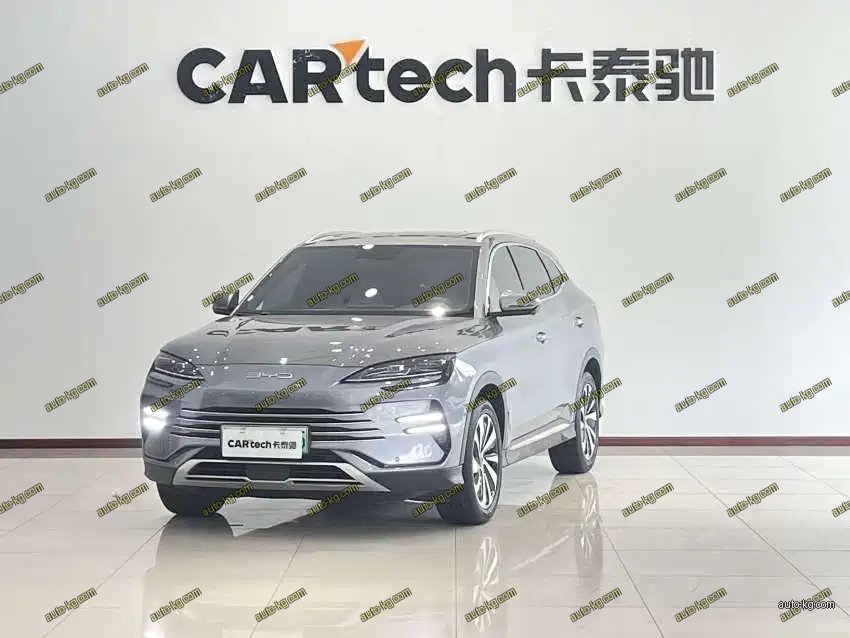 BYD PLUS New Energy 2024