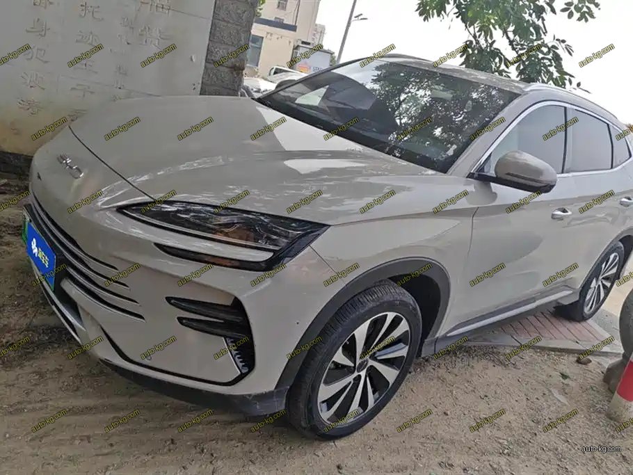 BYD PLUS New Energy 2024