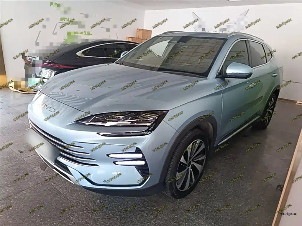 BYD PLUS New Energy 2023