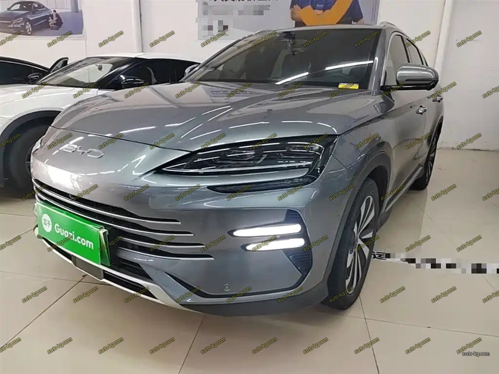 BYD PLUS New Energy 2024