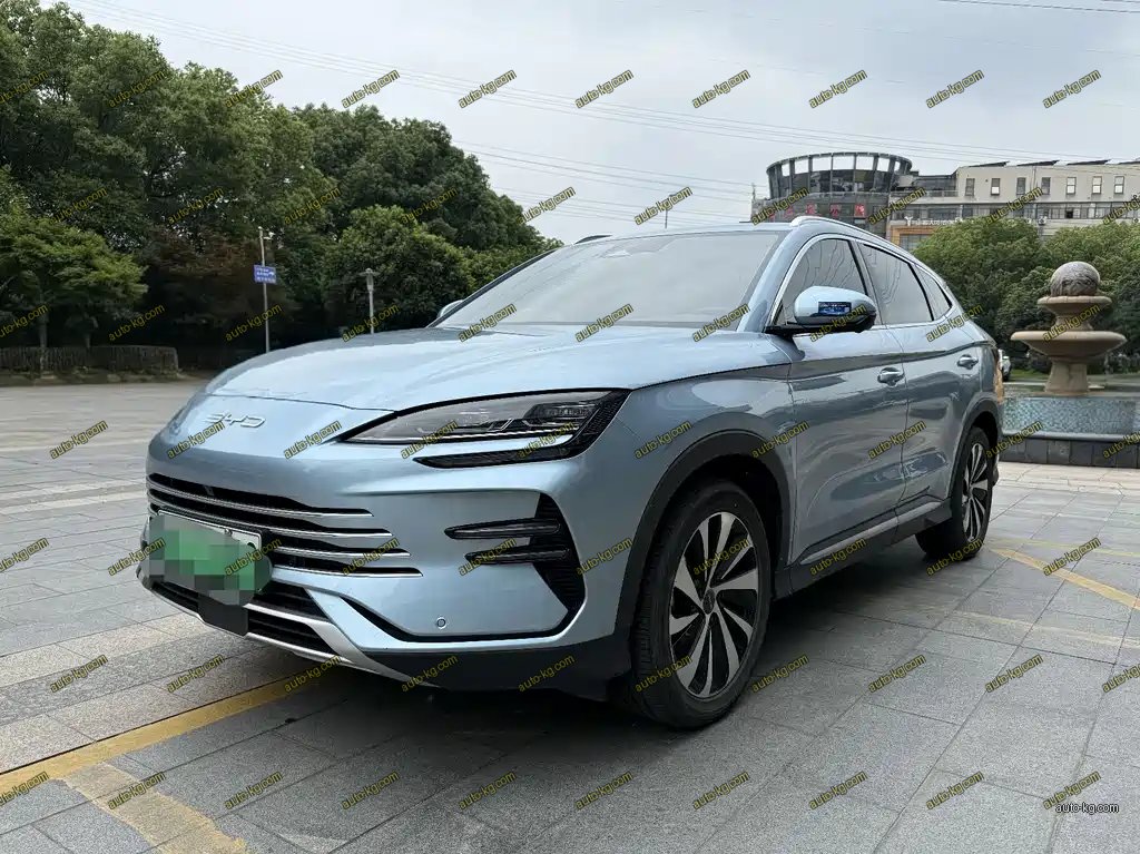 BYD PLUS New Energy 2024