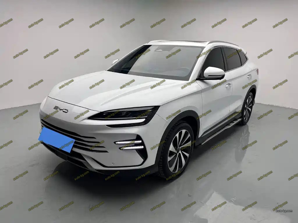 BYD PLUS New Energy 2024
