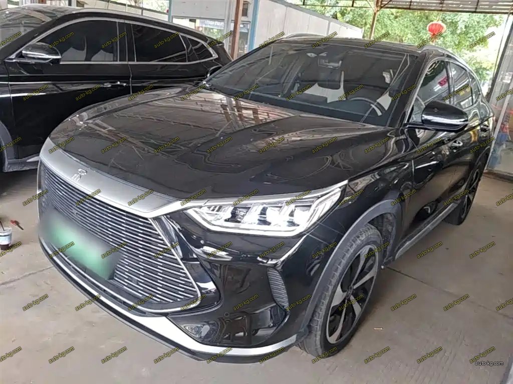 BYD PLUS New Energy 2023