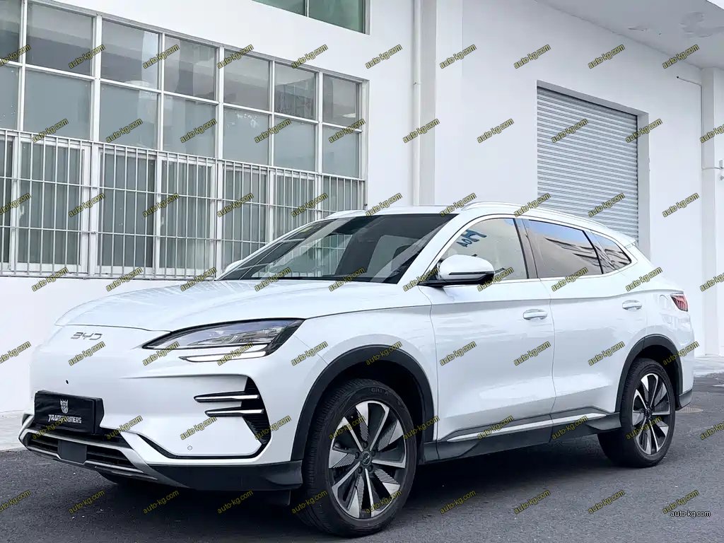 BYD PLUS New Energy 2025