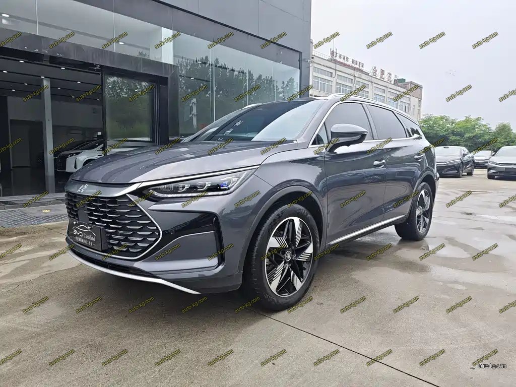 BYD Tang New Energy 2024