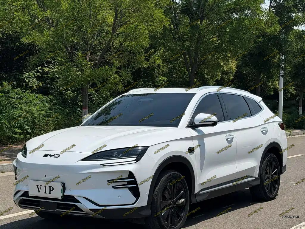 BYD PLUS New Energy 2025