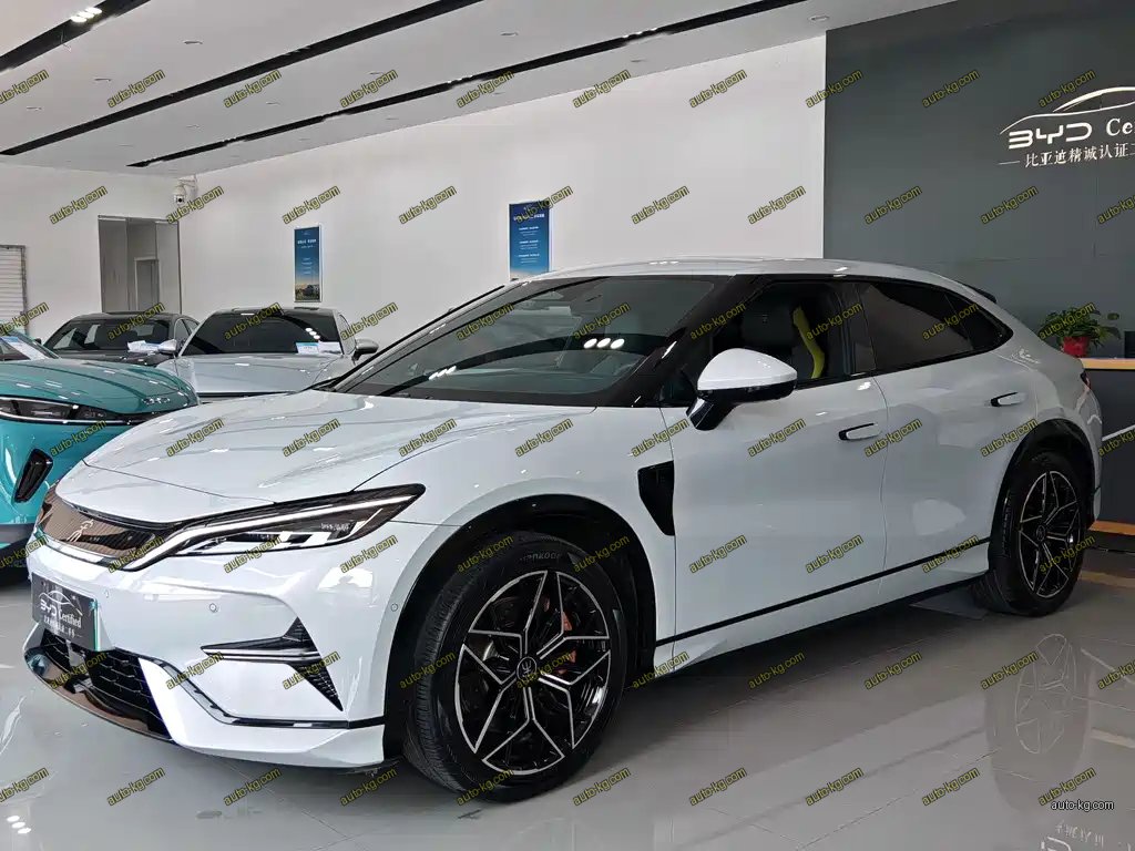 BYD L EV 2024