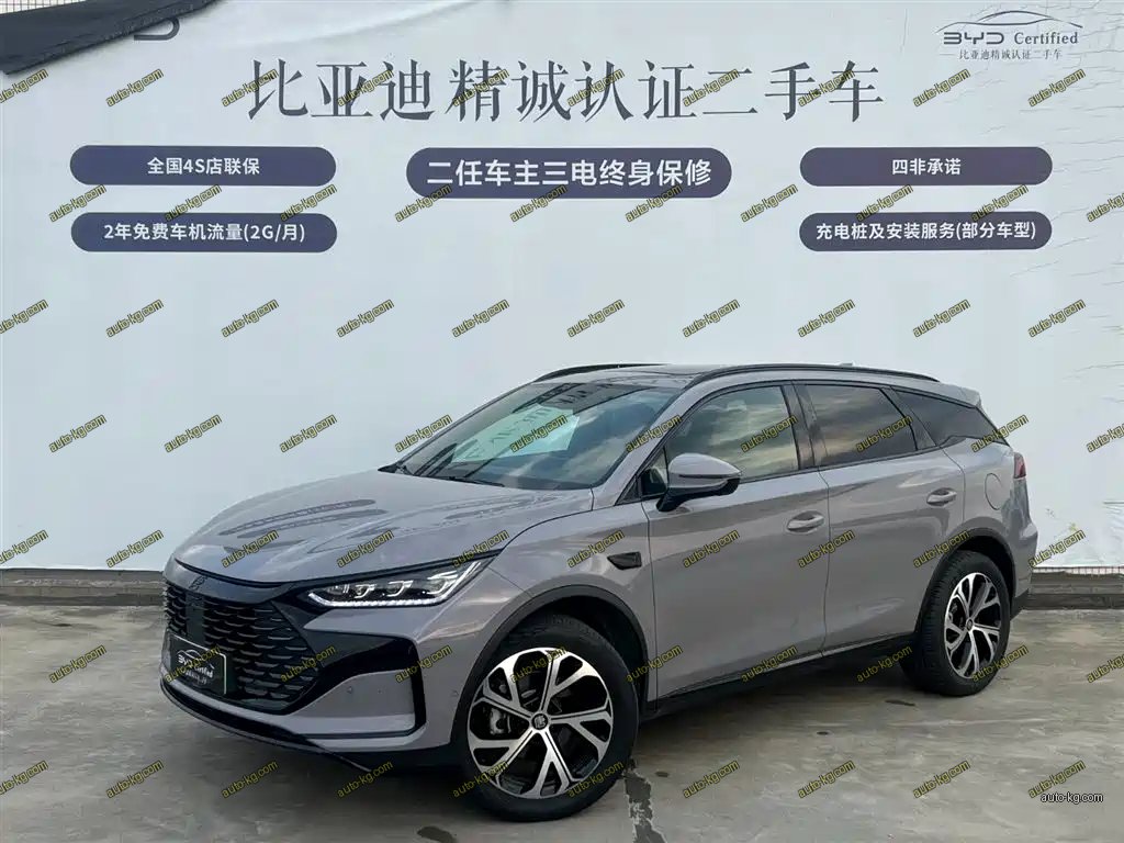 BYD Tang New Energy 2025