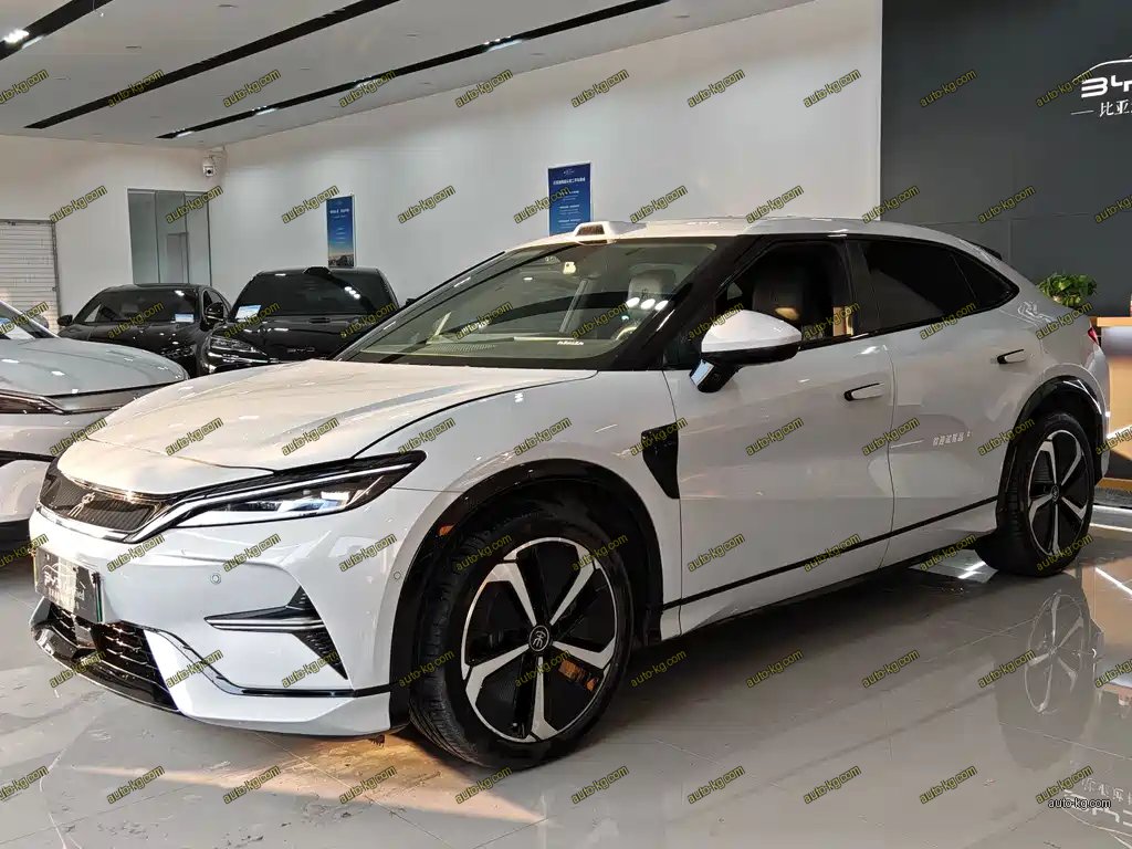BYD L EV 2025