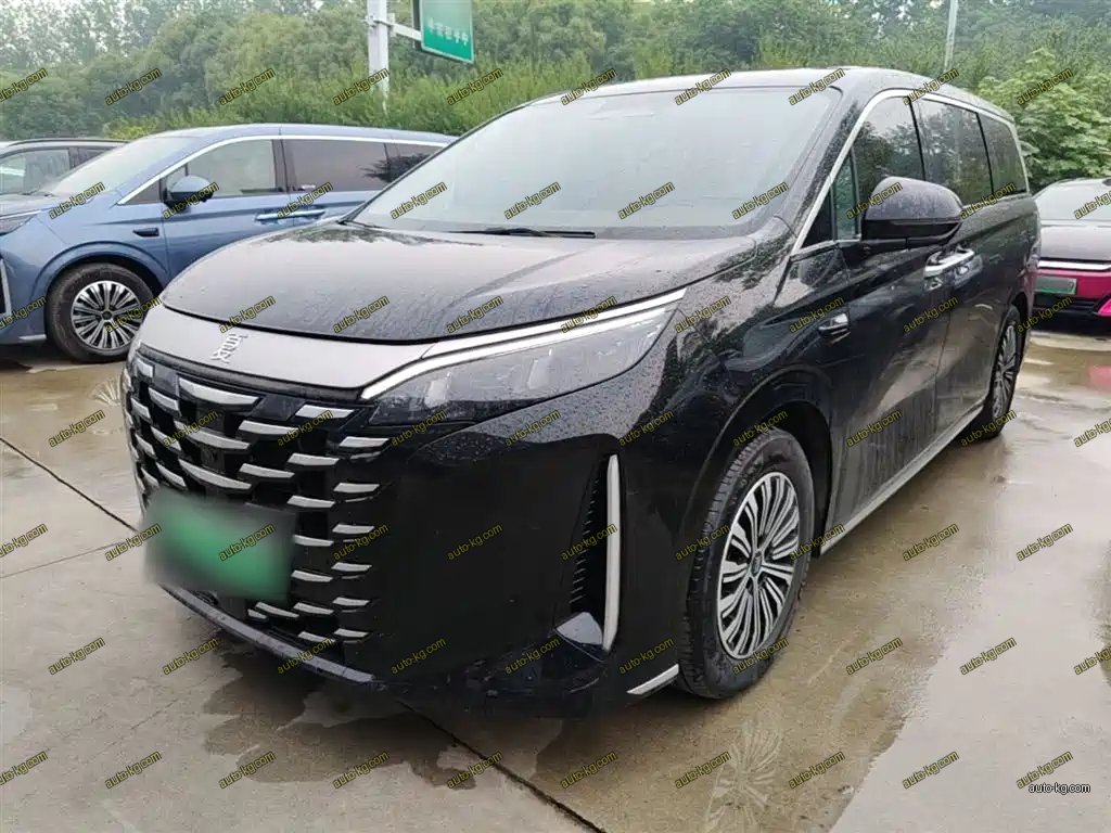 BYD Xia 2025