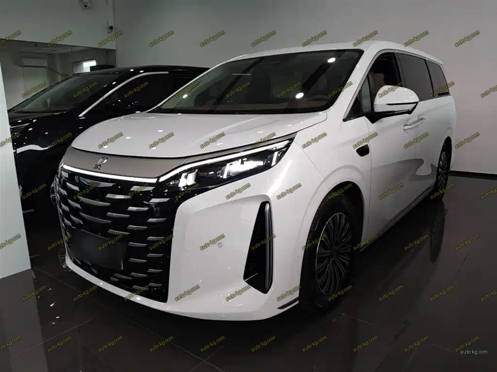 BYD Xia 2025