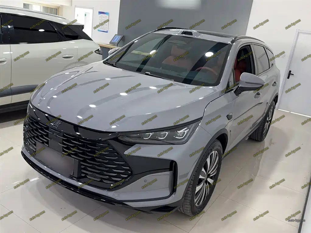 BYD Tang New Energy 2026