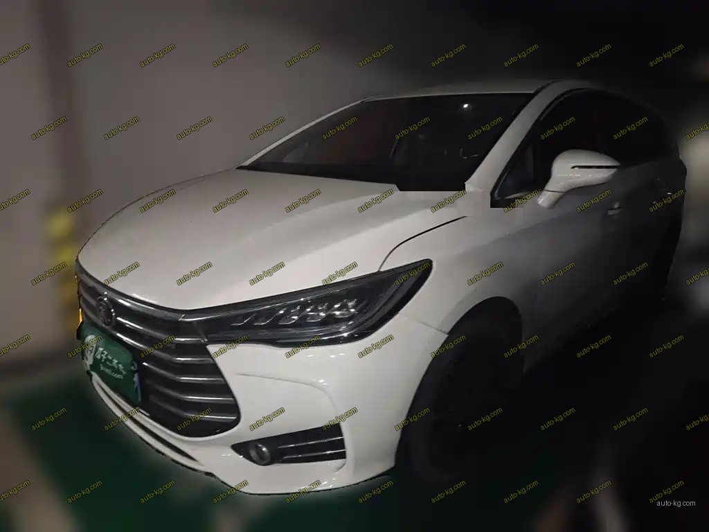 BYD MAX 2018