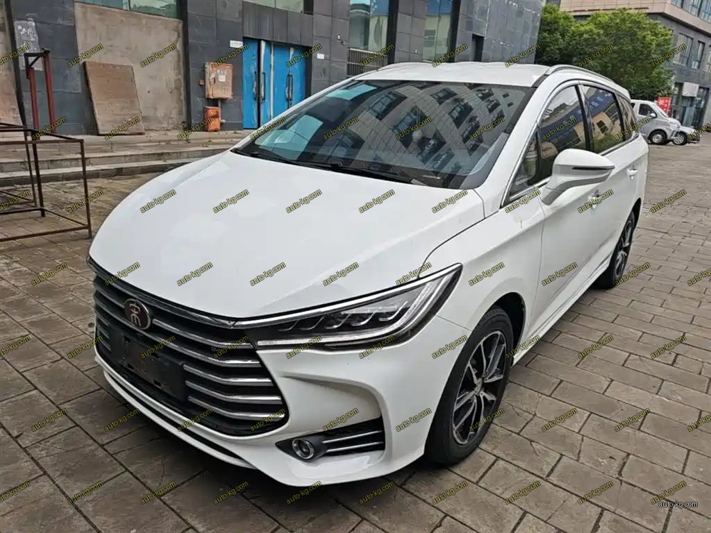 BYD MAX 2018