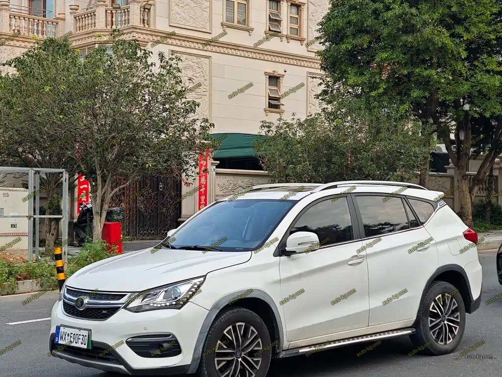 BYD New Energy 2018