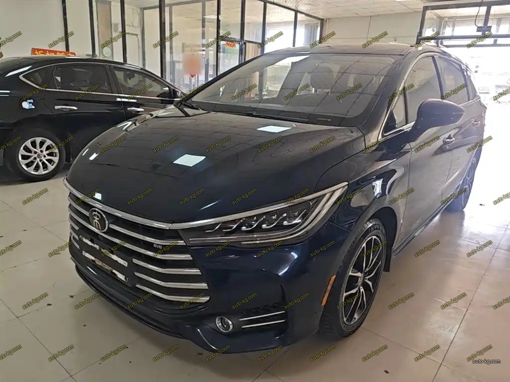 BYD MAX 2018