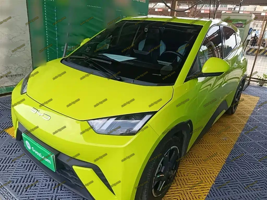 BYD Seagull 2023