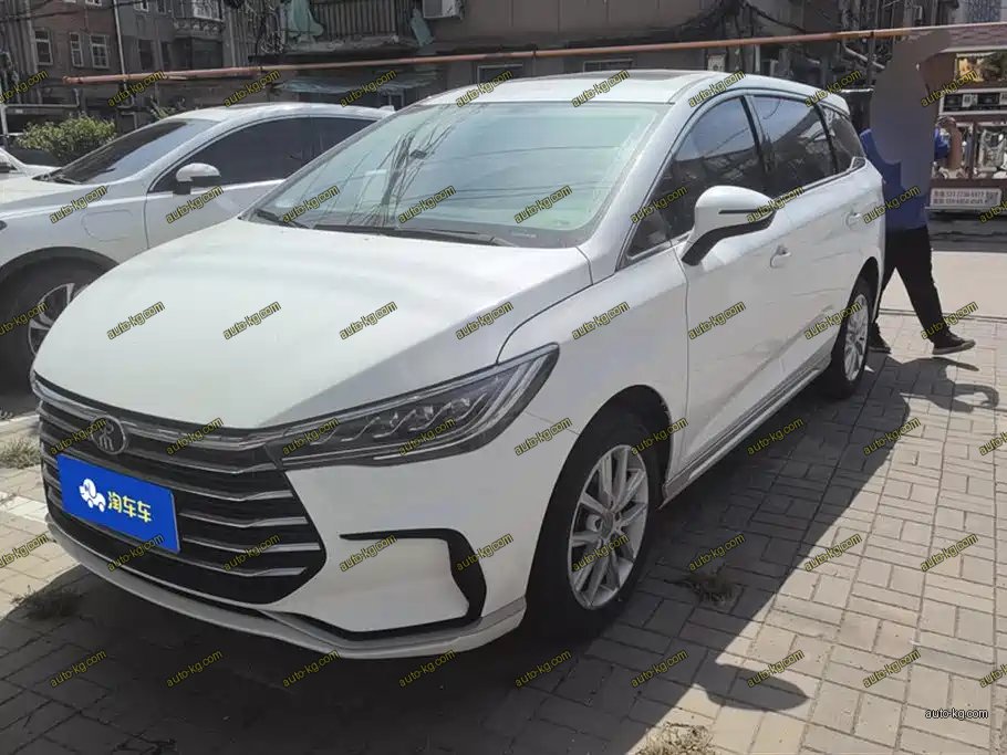 BYD MAX 2021