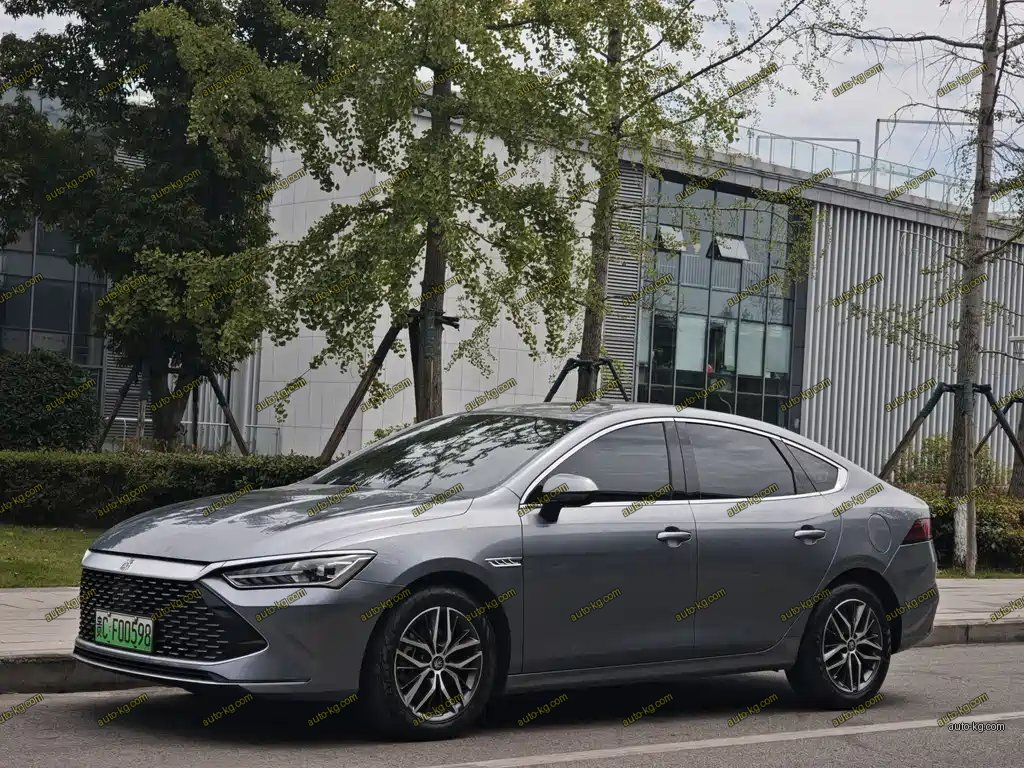 BYD Qin PLUS 2021
