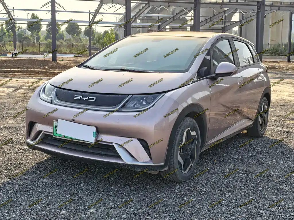BYD Dolphin 2022