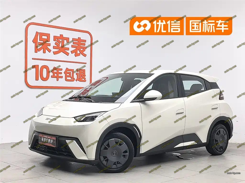 BYD Seagull 2024