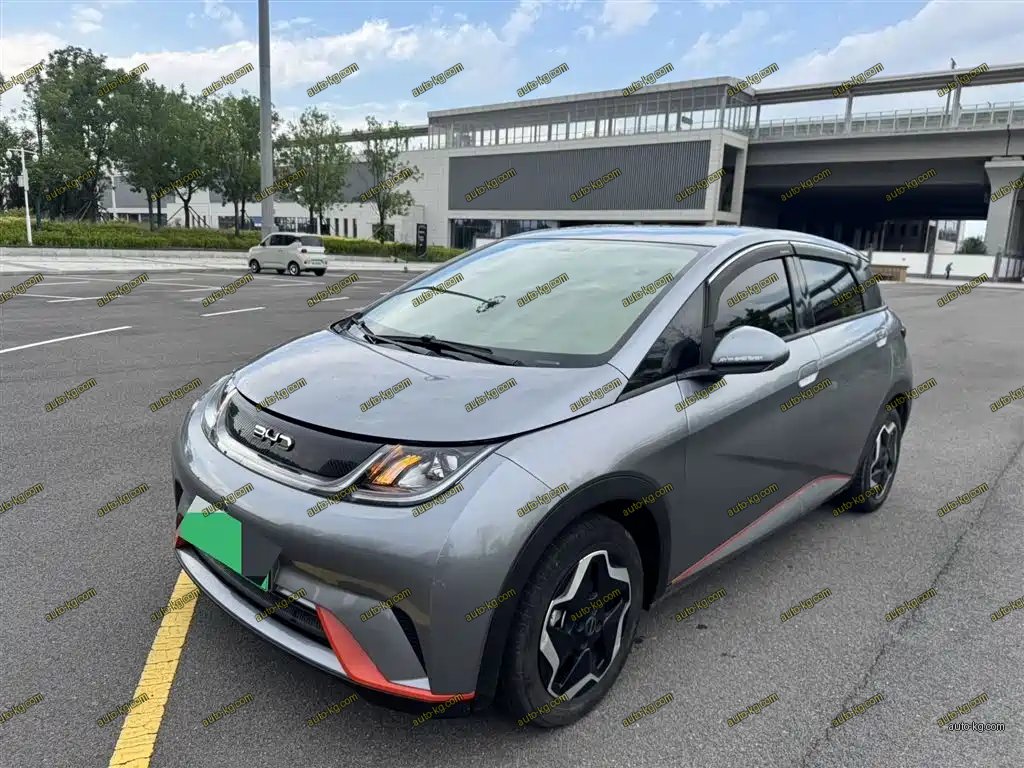 BYD Dolphin 2022