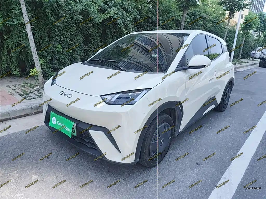 BYD Seagull 2023