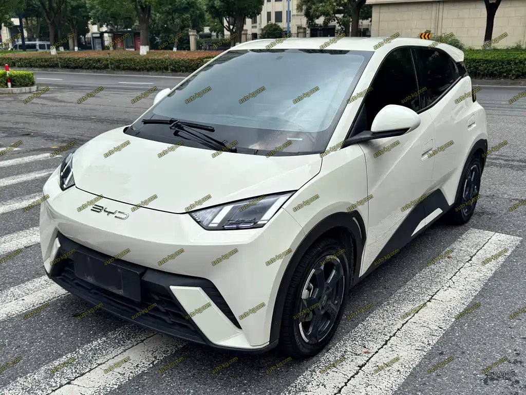 BYD Seagull 2024