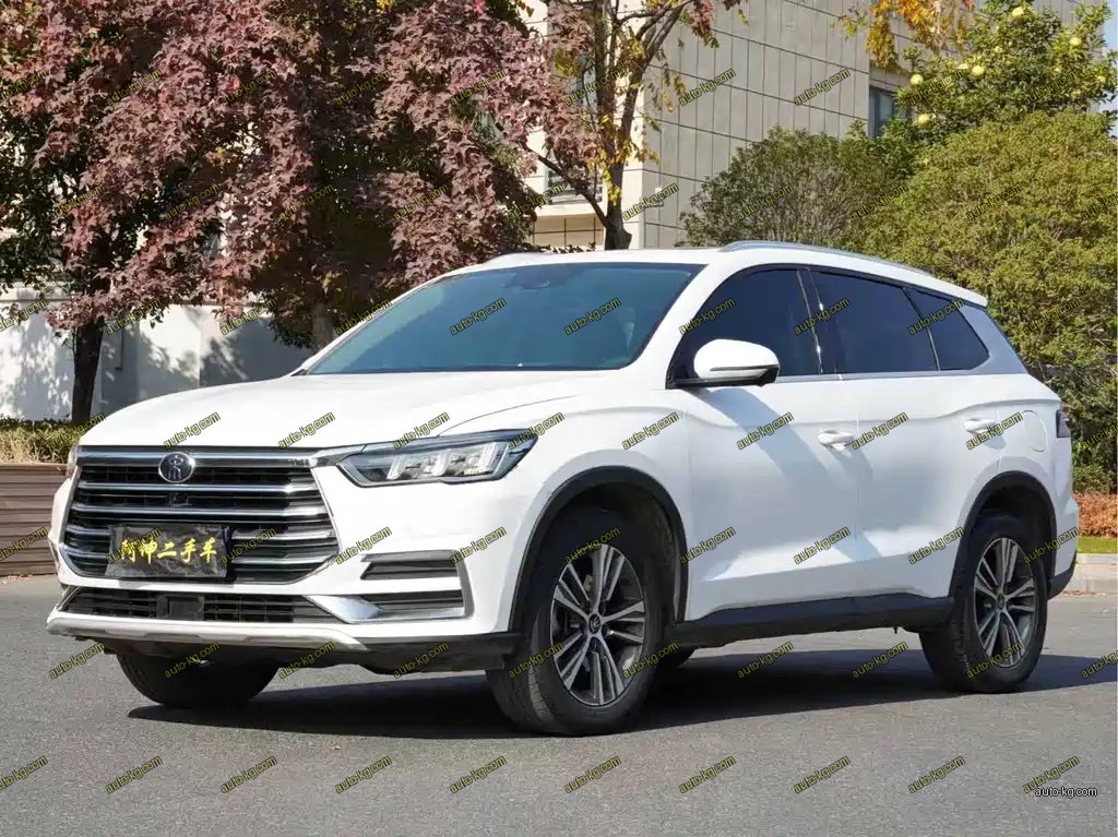BYD Pro 2021