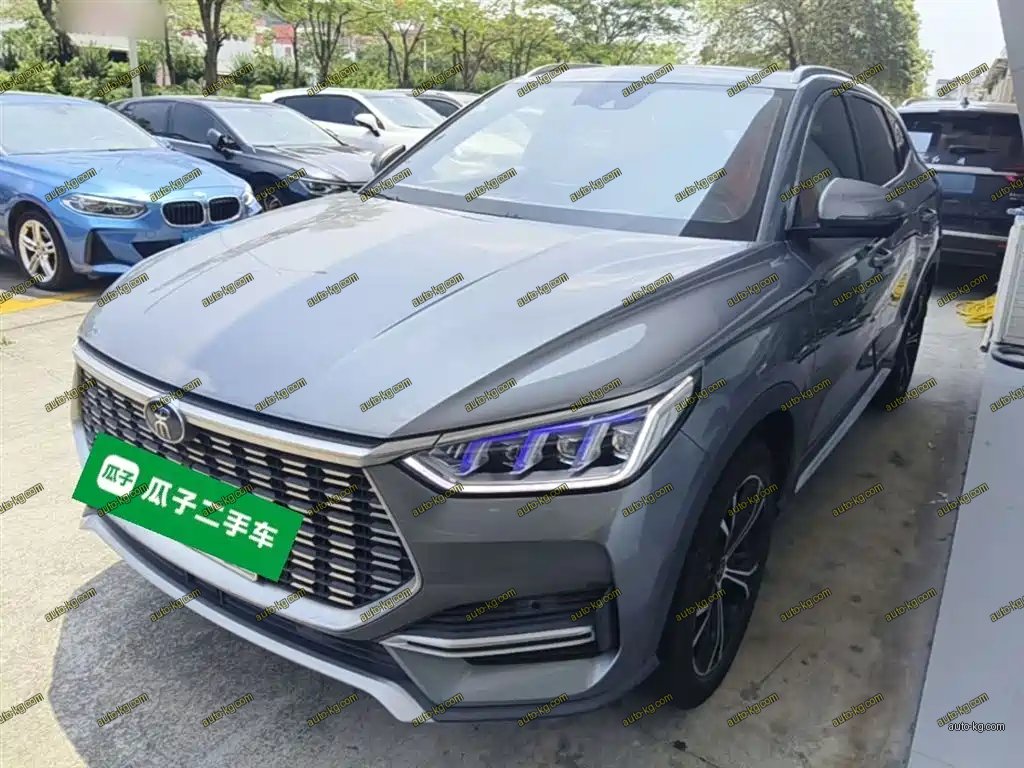 BYD PLUS 2020