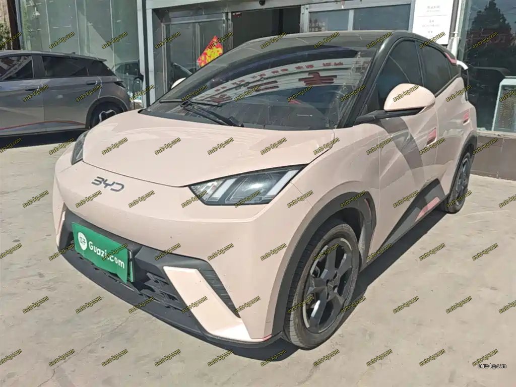 BYD Seagull 2023