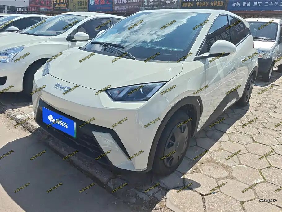 BYD Seagull 2024