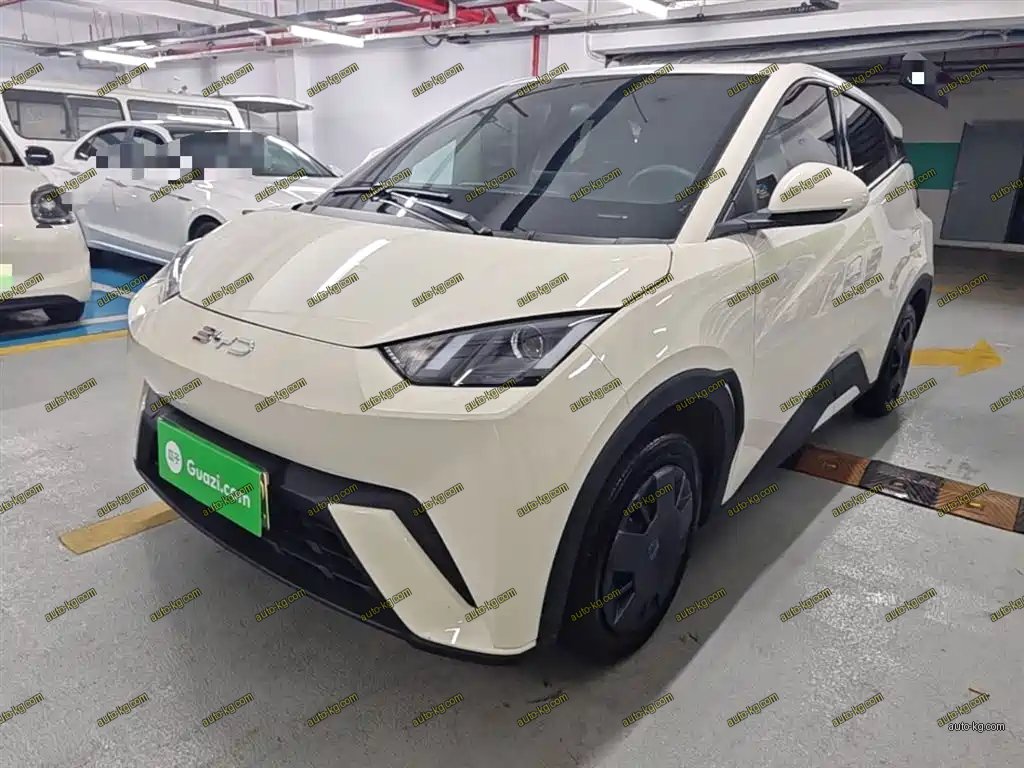 BYD Seagull 2024