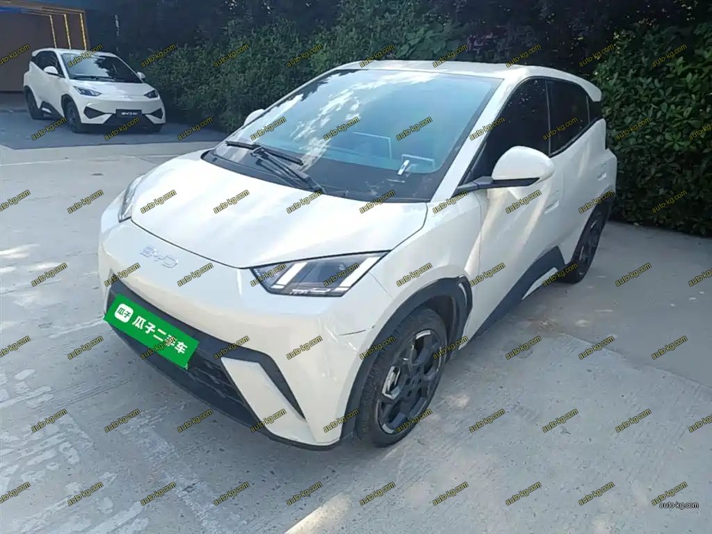 BYD Seagull 2024
