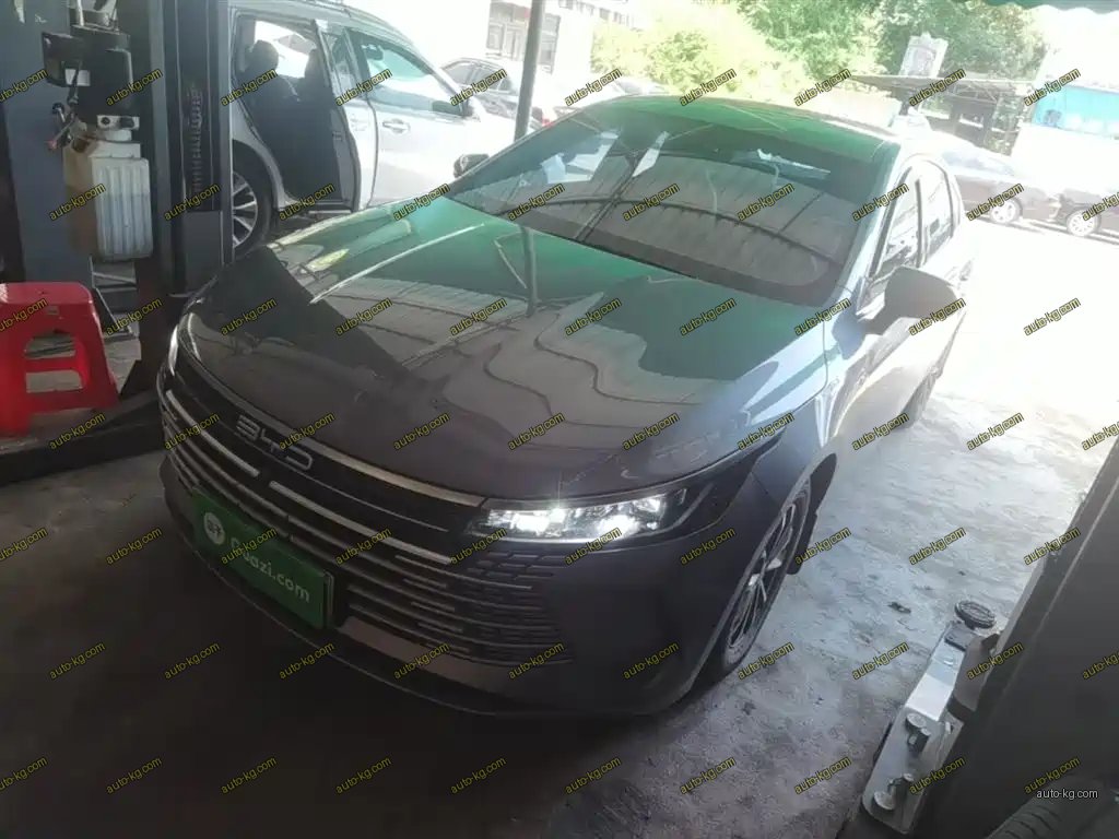 BYD Destroyer 05 2024