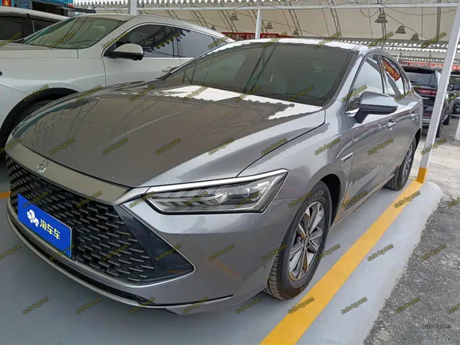 BYD Qin PLUS 2024