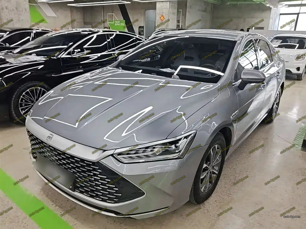 BYD Qin PLUS 2023