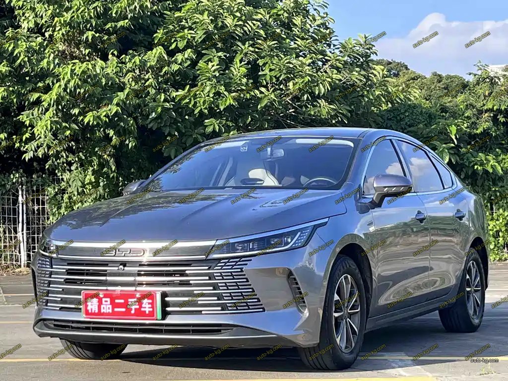 BYD Destroyer 05 2024