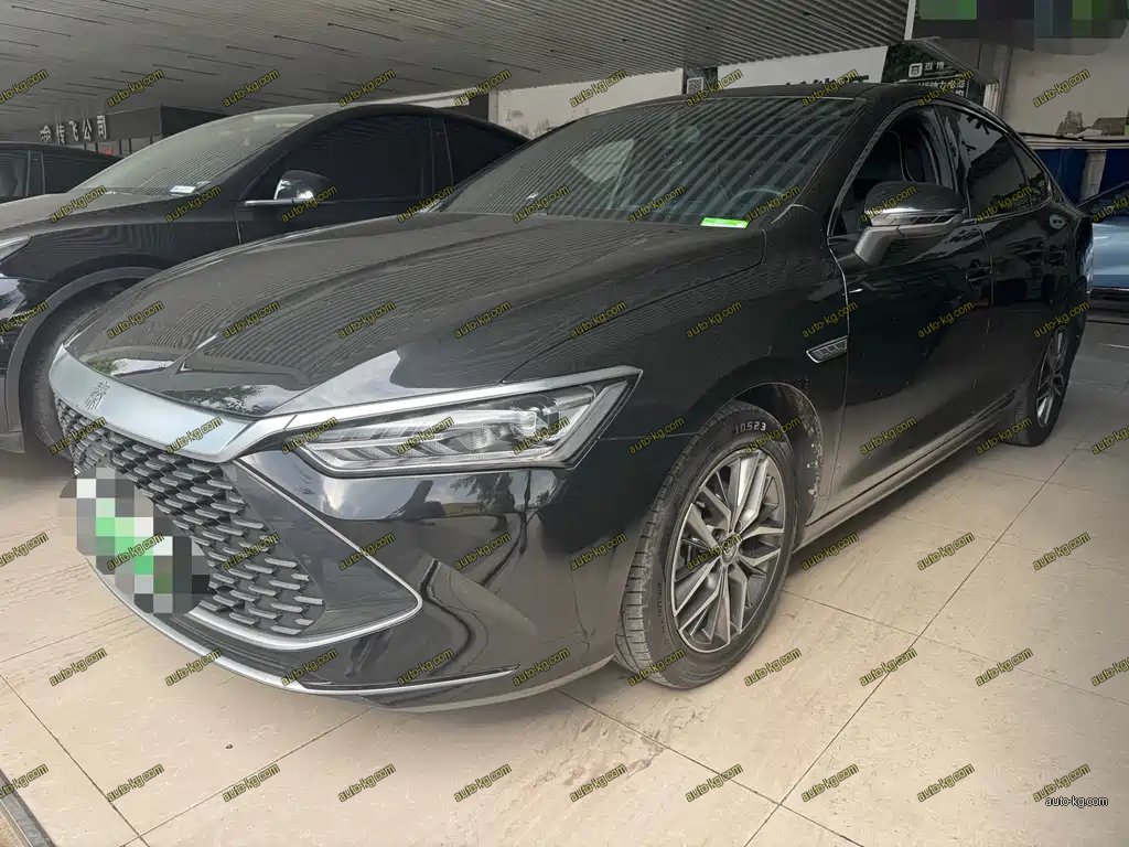 BYD Qin PLUS 2022