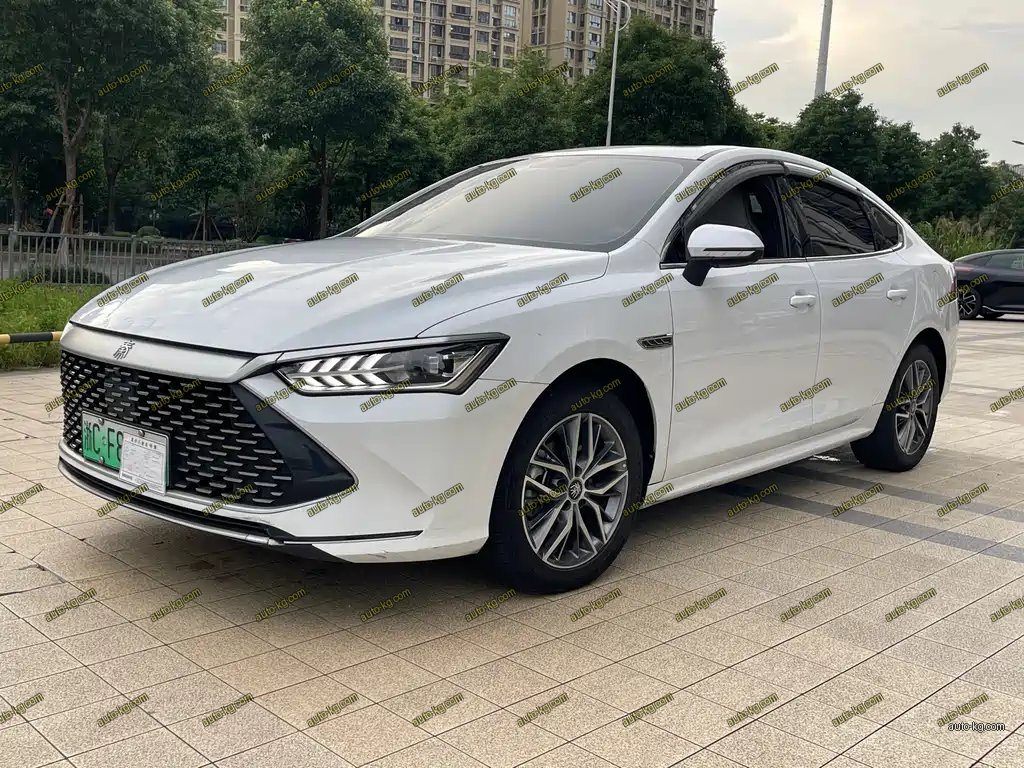 BYD Qin PLUS 2024