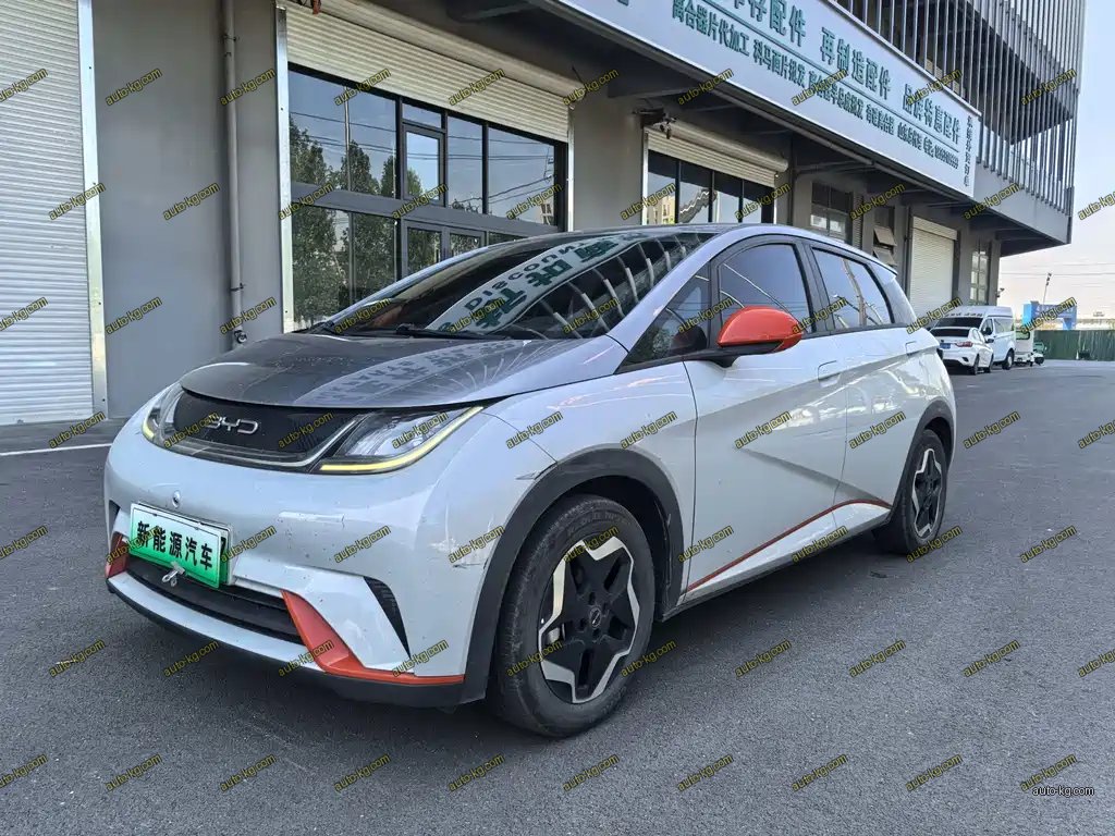 BYD Dolphin 2022